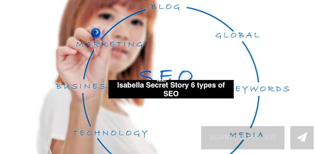 Isabella Secret Story 6 Types of Search Engine Optimization