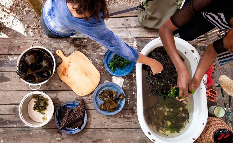  Cooking and Foraging