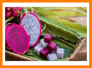 20 Benefits of Dragon Fruit for Health (for Diet to Treat Acne)