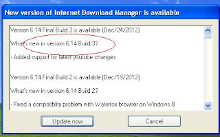 Download IDM 6.14 Build 3 Full Version