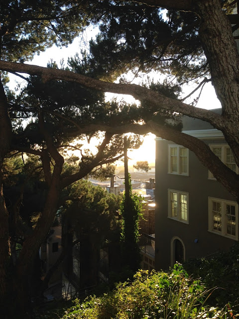 Sunset over Russian Hill, San Francisco, June 2014 by BK Mair