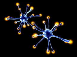 Blocking Differentiation is Enough to Give Cells 'Stemness'