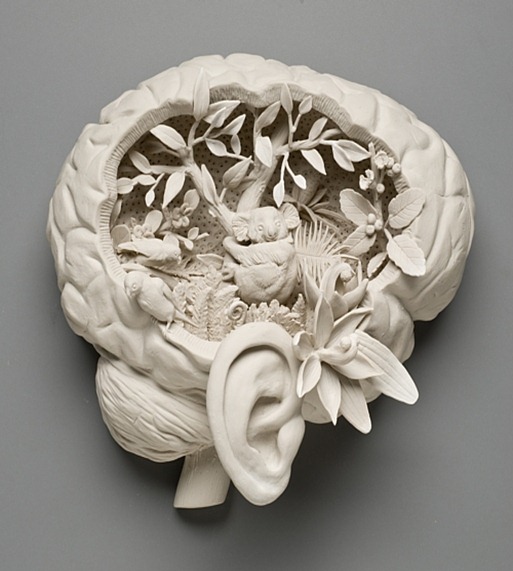 solastalgia