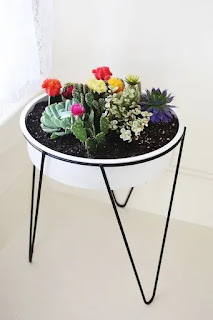 Ideas de jardín de cactus de bricolaje 7