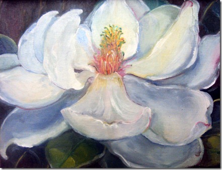 mvargasmagnolia