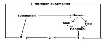 BIOLOGI GONZAGA UJIAN NASIONAL DULU KALA