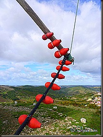 P1180843