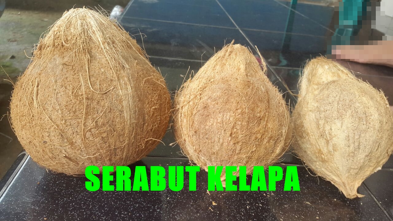 KERAJINAN SERABUT KELAPA  DENGAN OMZET RATUSAN JUTA 