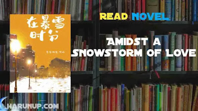 Amidst a Snowstorm of Love Novel