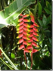 P5270060