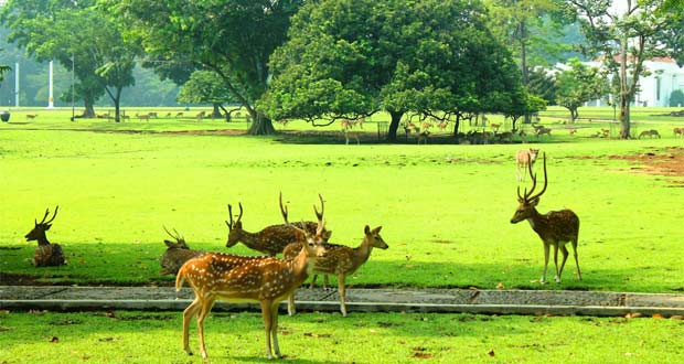 Kebun Raya Bogor