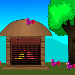Play Games2Live  Love Birds Rescue