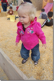 Galloping Grace Pumpkin Patch 028