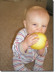 William---Summer Visitors 007