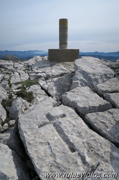 Sierra de los Pinos por las Pulgas