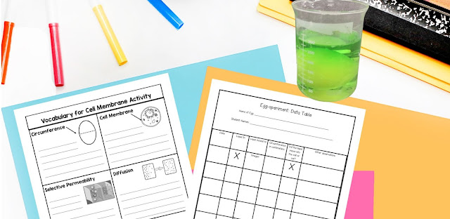 Cell membrane vocabulary sheet and data collection are set out beside the egg soaking in water colored green with food coloring.