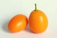 Kumquat