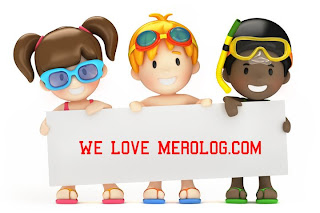 Merolog Banner