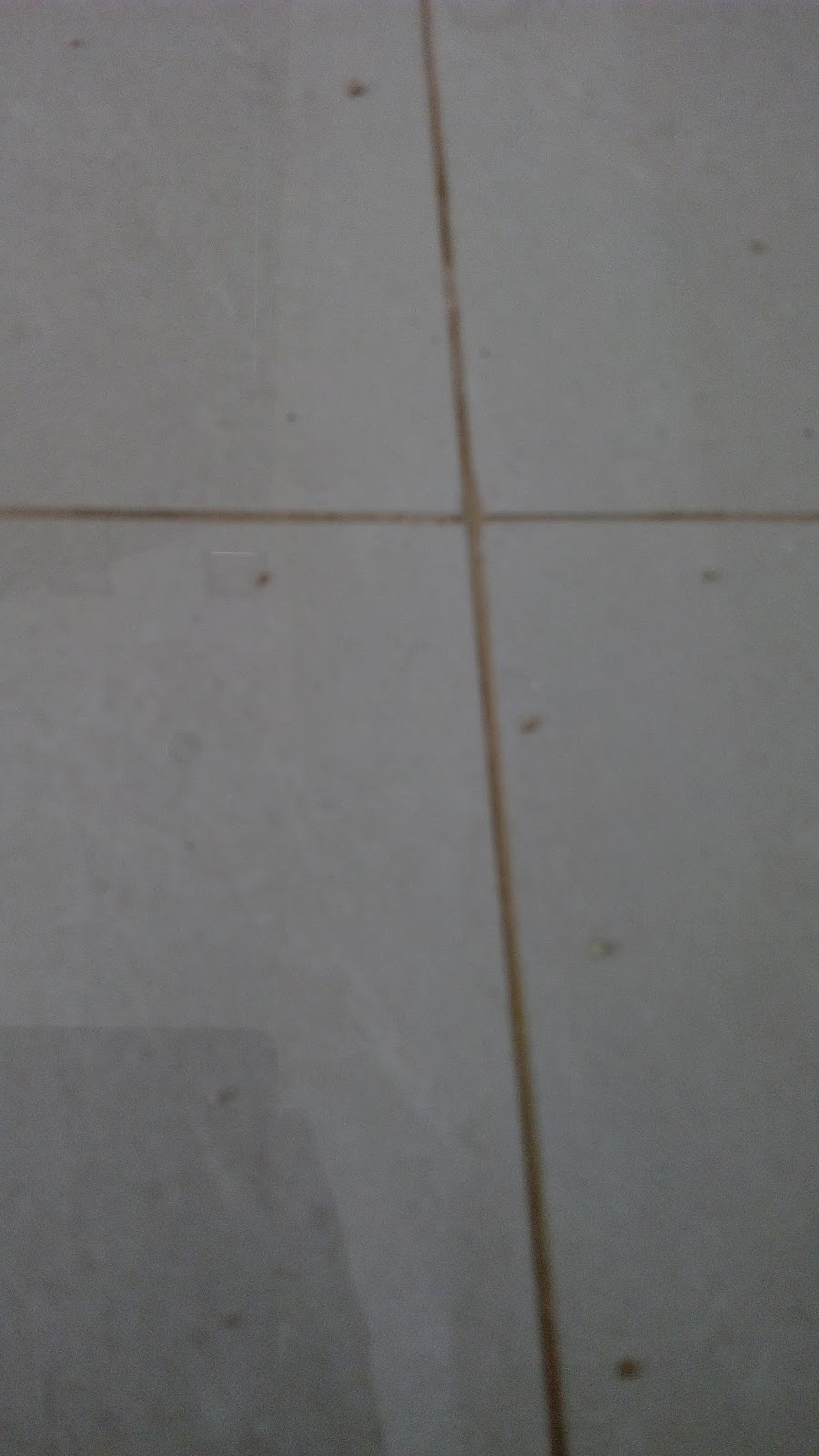 Perbedaan Nat Dengan Resin dan Grout Semen