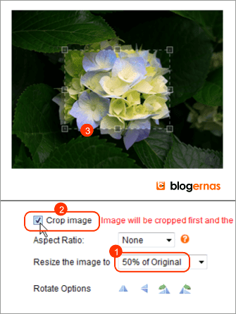 Crop Foto secara Online di Situs ImageResize