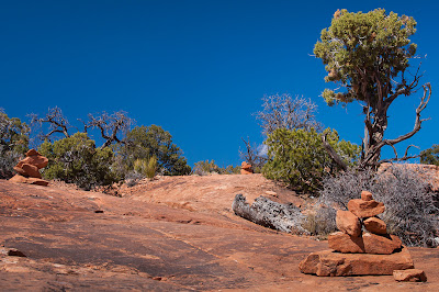 Canyonlands National Park: Whale Rock