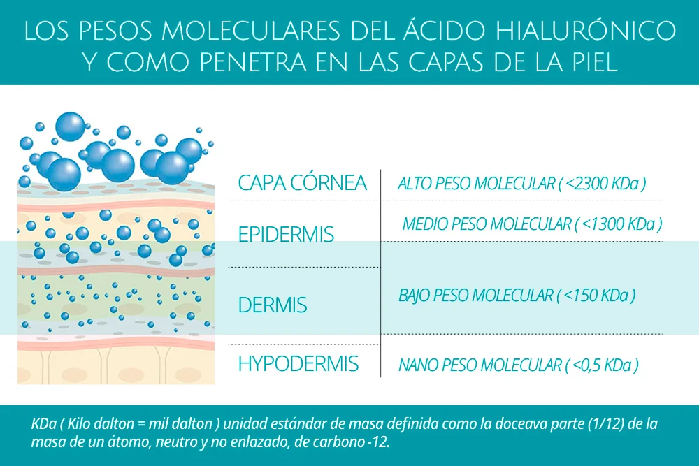 4D lidherma