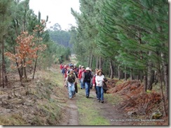 Mangualde por caminhos abandonados 2011 imagens Napoleão Monteiro
