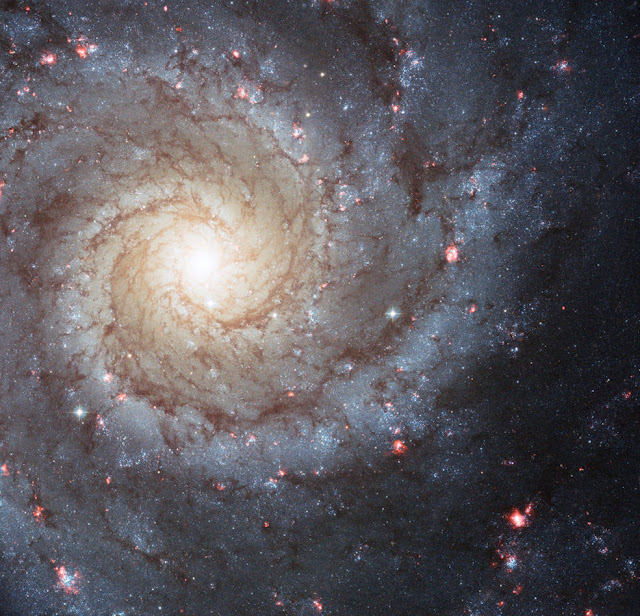 galaksi-spiral-messier-74-informasi-astronomi