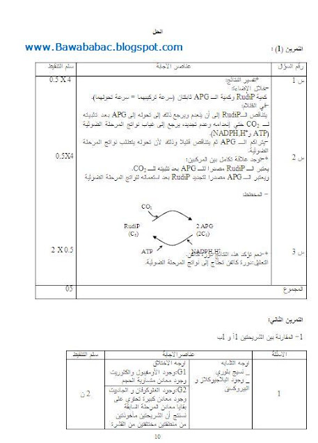 إختبارات علوم الطبيعة والحياة -علوم تجريبية