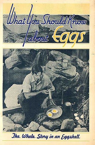 The Story Of Eggs