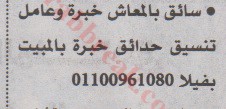 اهم وافضل الوظائف اهرام الجمعة وظائف خلية وظائف شاغرة على عرب بريك