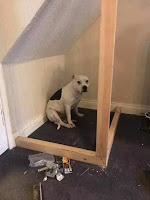 Caseta DIY para perro debajo de la escalera