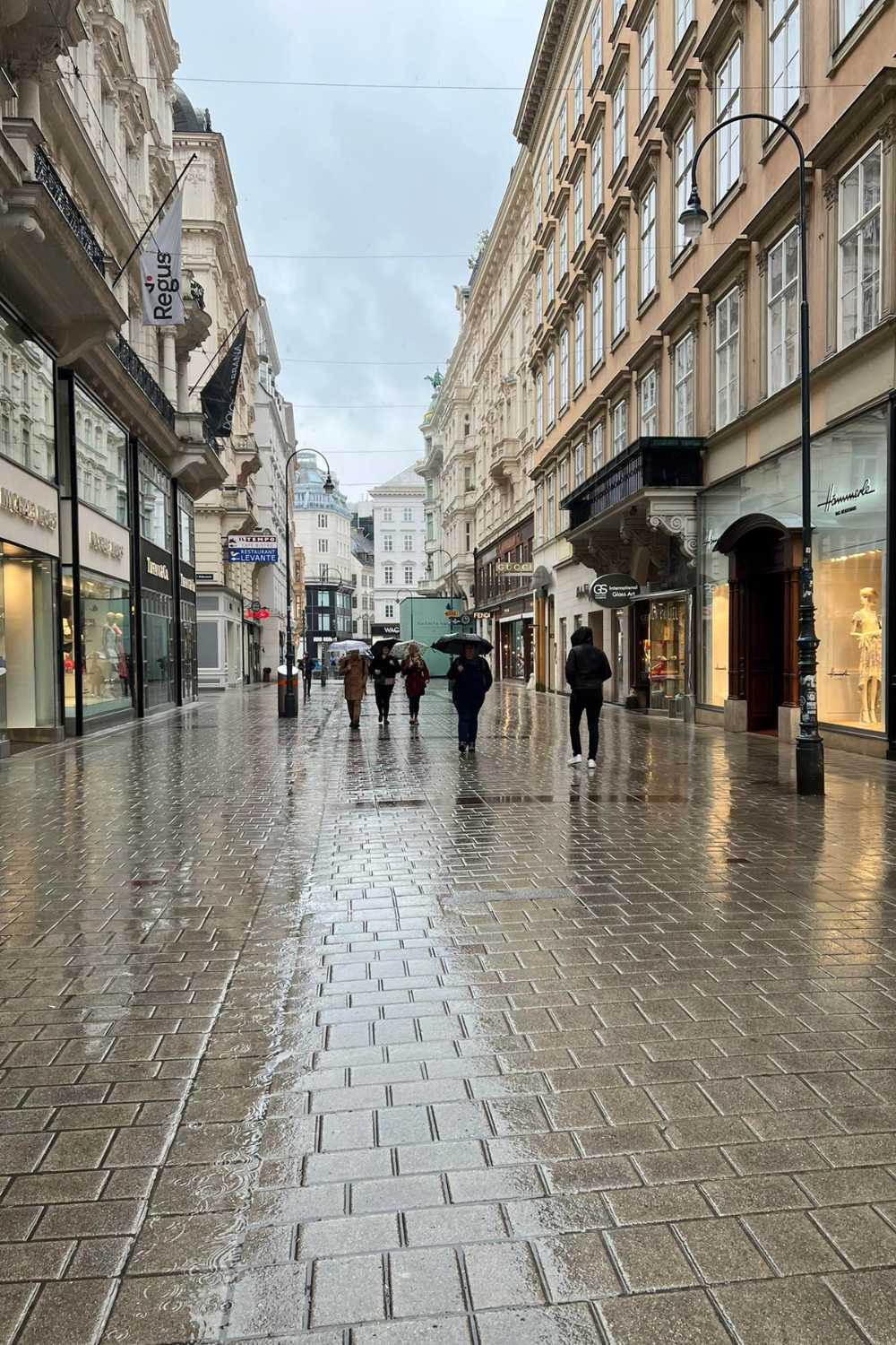 Photographing Vienna in The Rain