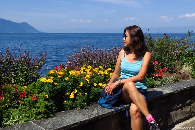 Montreux Flower Promenade - Sample of the colourful flowers that were planted along the lakeside.