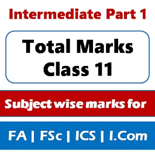 1st year class 11 total marks 2023