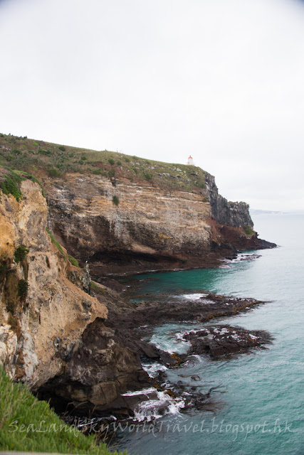 dunedin, 坦尼丁, Otago Peninsula