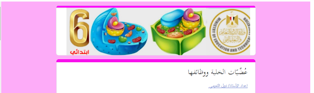 اختبار الكترونى علوم على درس عضيات الخلية ووظائفها للصف السادس الابتدائى الترم الاول المنهج الجديد 2024 للاستاذ نبيل التميمي