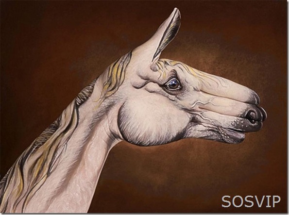 Pinturas de Dedos (24)