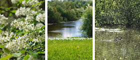 Bæredygtig park i Nordsjælland