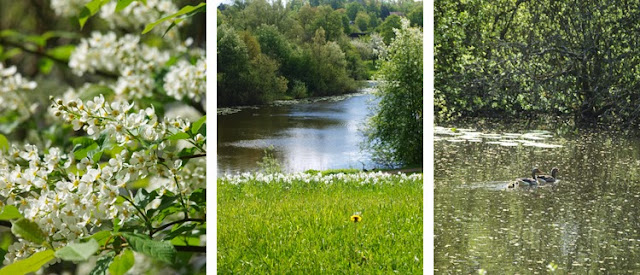 Bæredygtig park i Nordsjælland