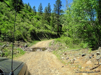 Rocks and bumps