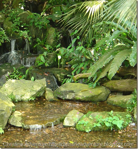 DSC02509