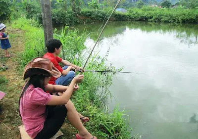 Tản mạn về thú vui câu cá