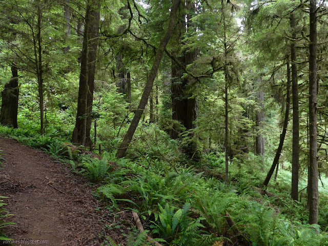 descent to creek