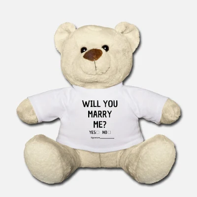teddy marriage proposal