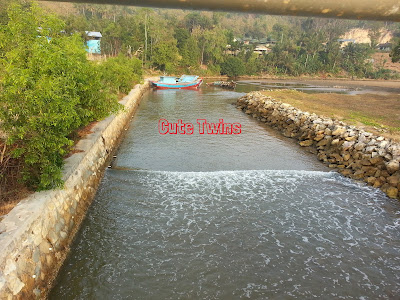 Jalan menuju Pantai Teleng Ria Pacitan