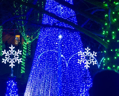 Wild about the Columbus Zoo and Aquarium #Wildlights