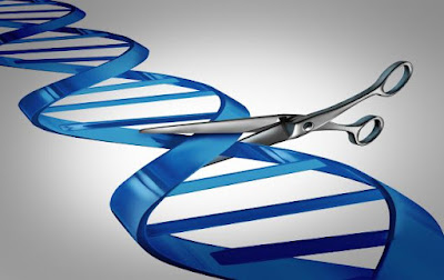 RNA being cut by scissors