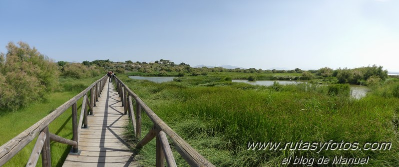 Laguna de Fuente de Piedra y Lagunas de Campillos