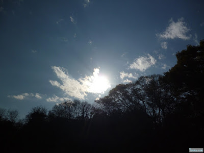 雲に隠れた太陽